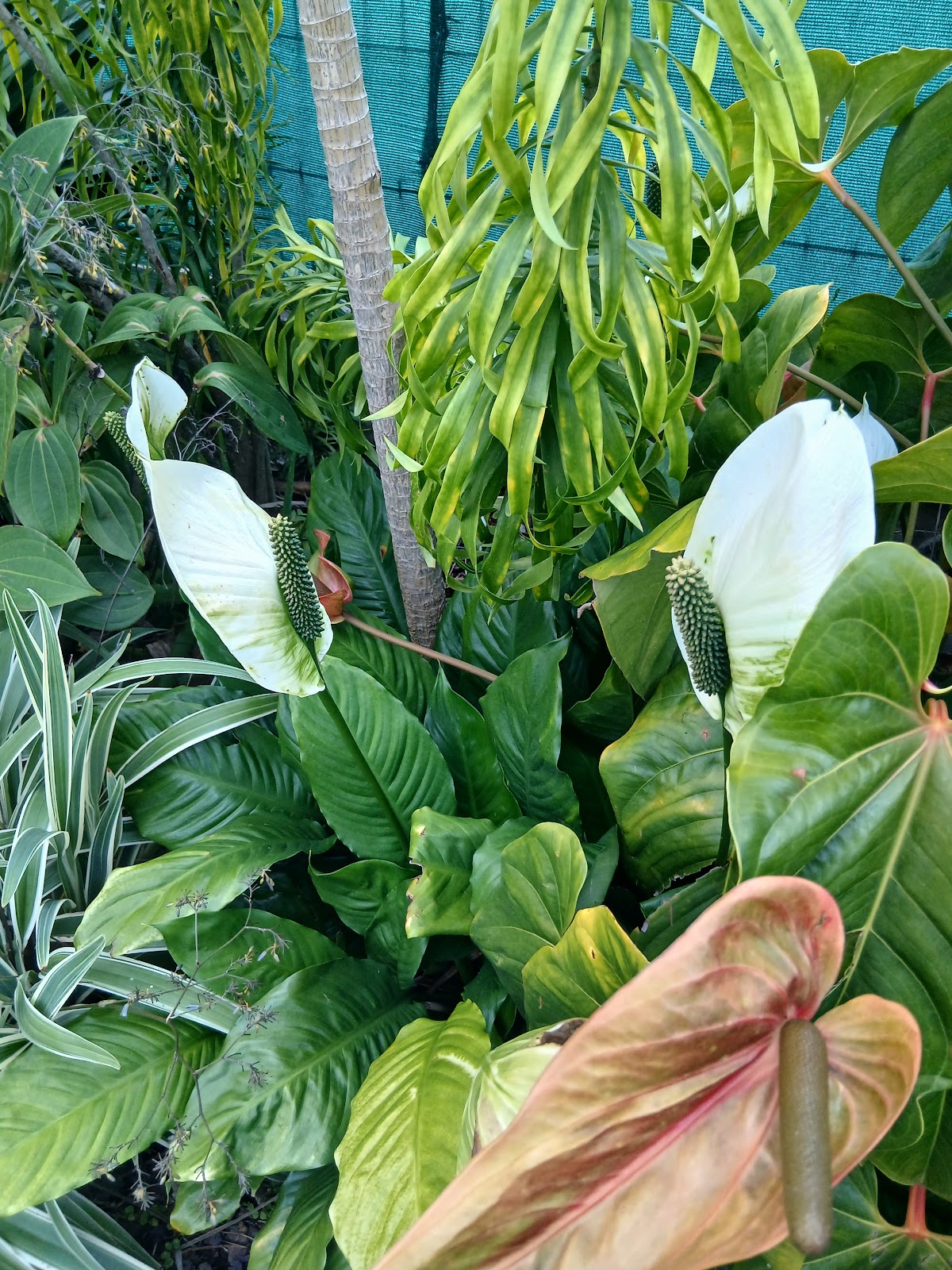 La Villa Vie d’Hôte - 6